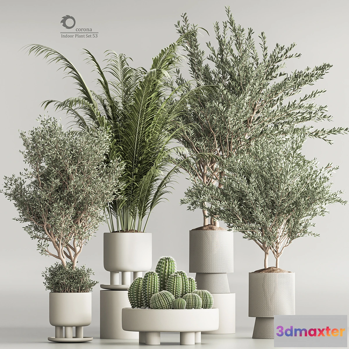 749145 - Indoor Plant Set 54(Corona)