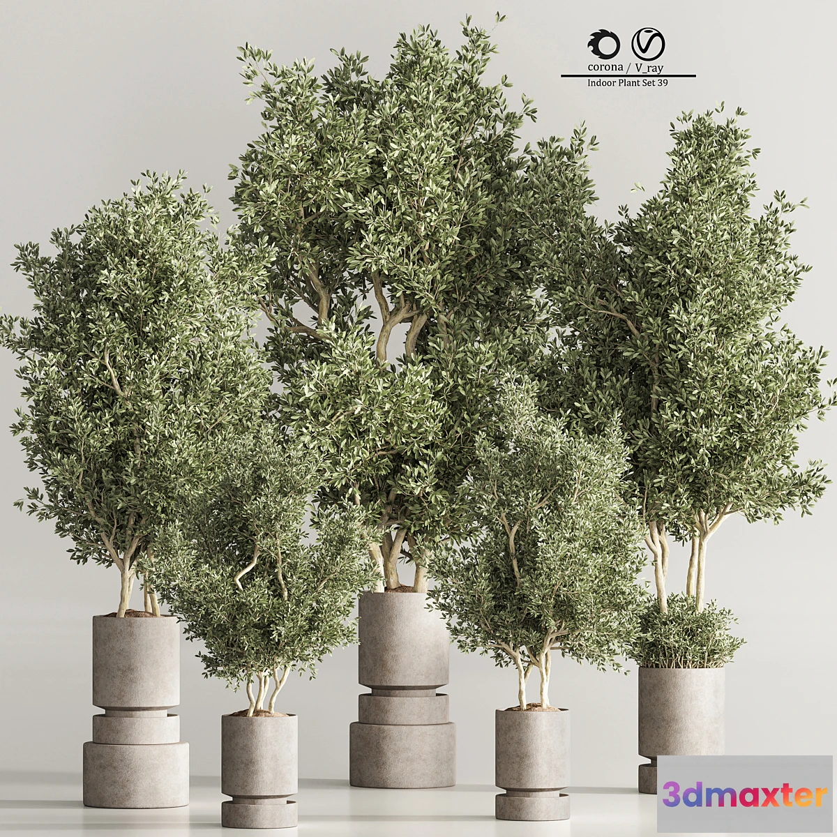 749171 - Indoor Plant Set 44 - No.2