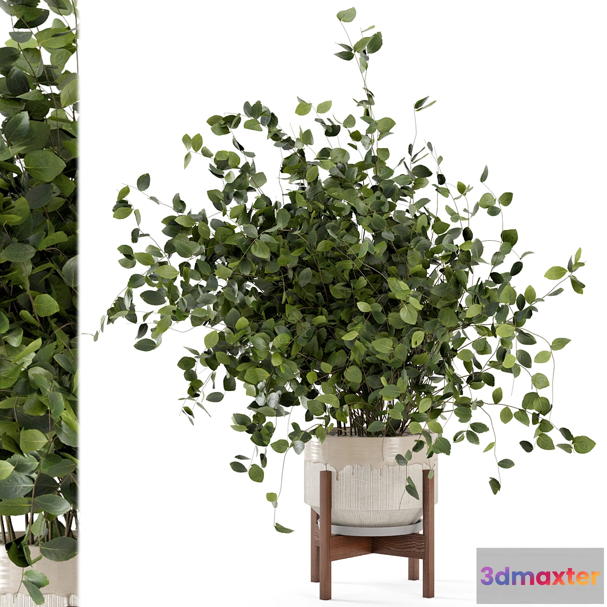 749173 - Indoor Plants in rusty Concrete Pot - Set 280