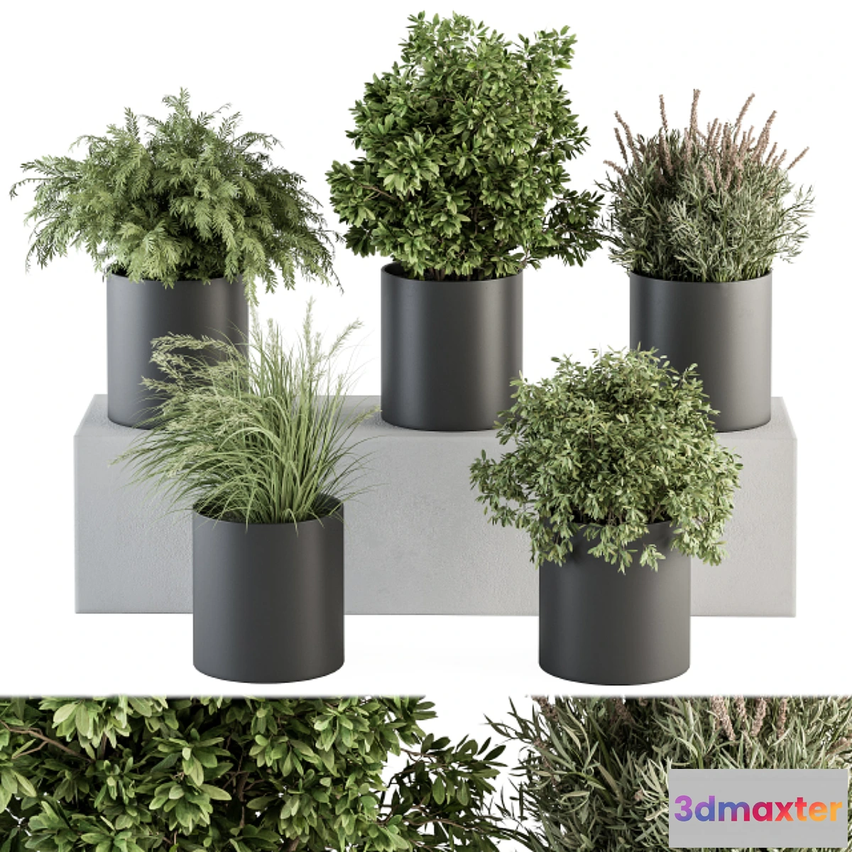 749181 - indoor Plant Set 305 - Small Plant pot
