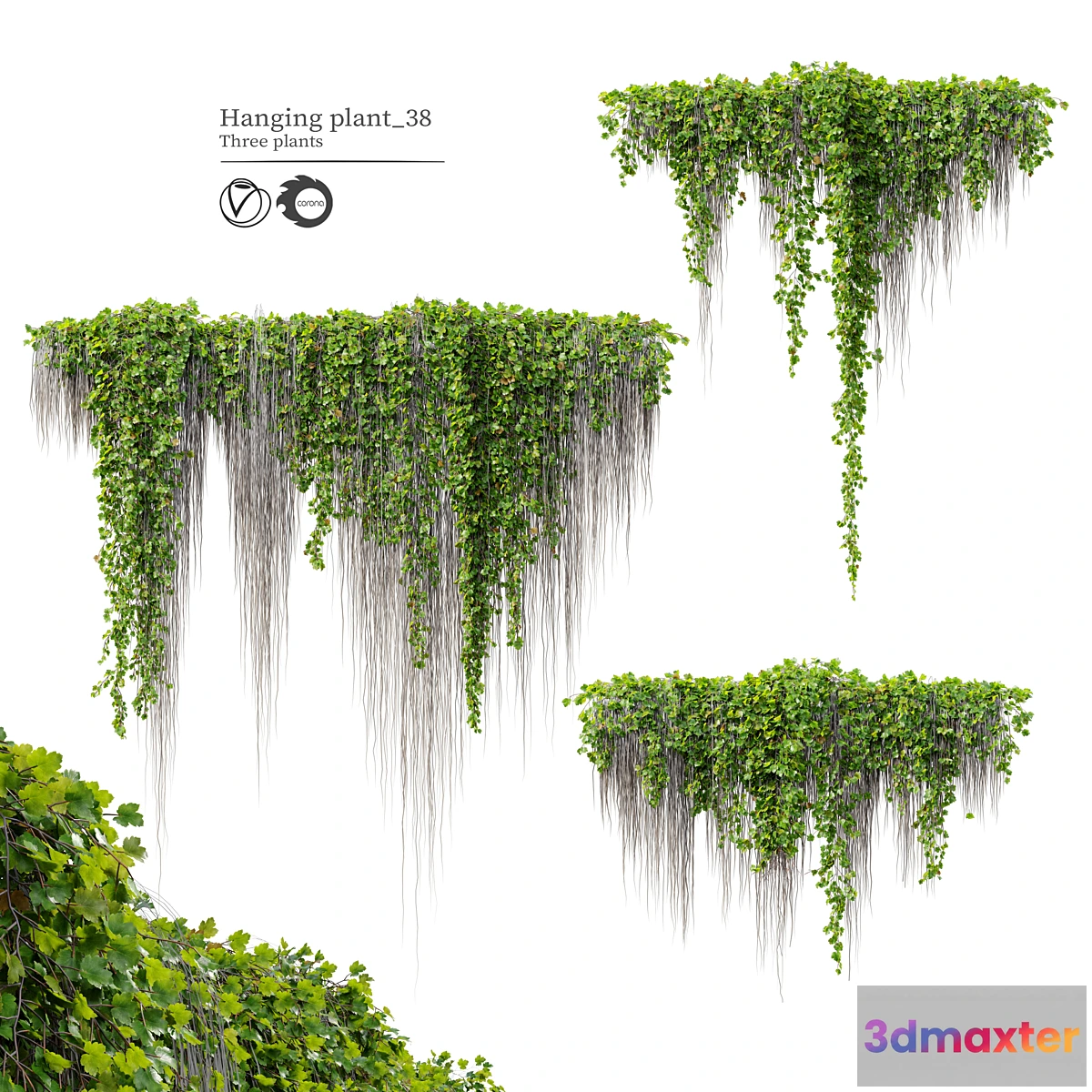 749195 - Hanging Plant 38 - No.2