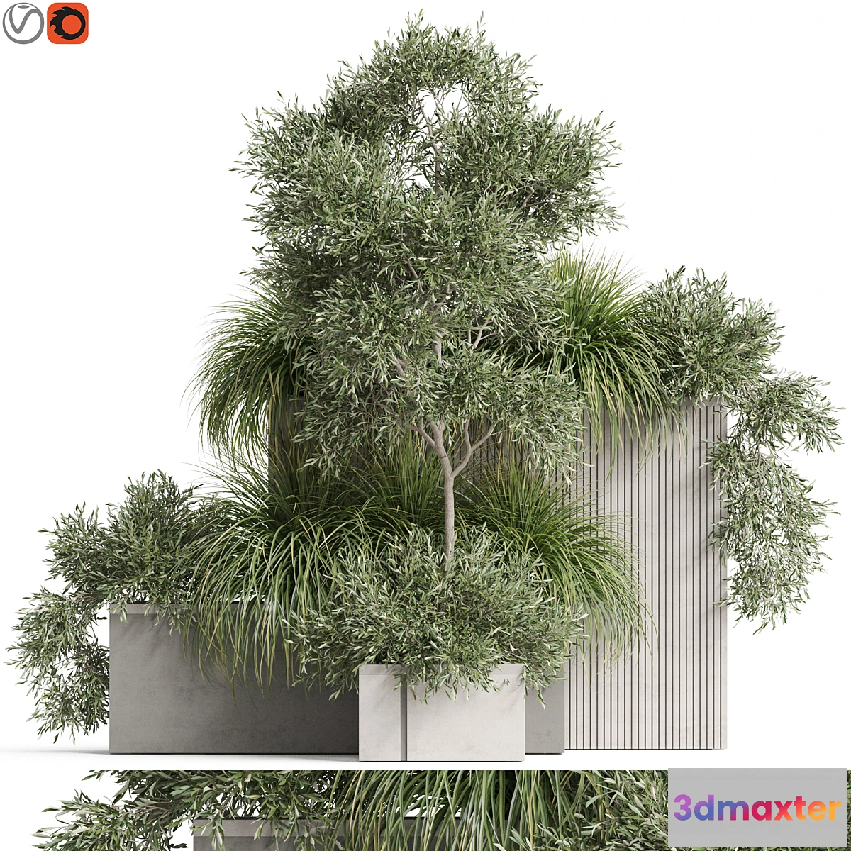 749215 - Plants collection 770 - No.2