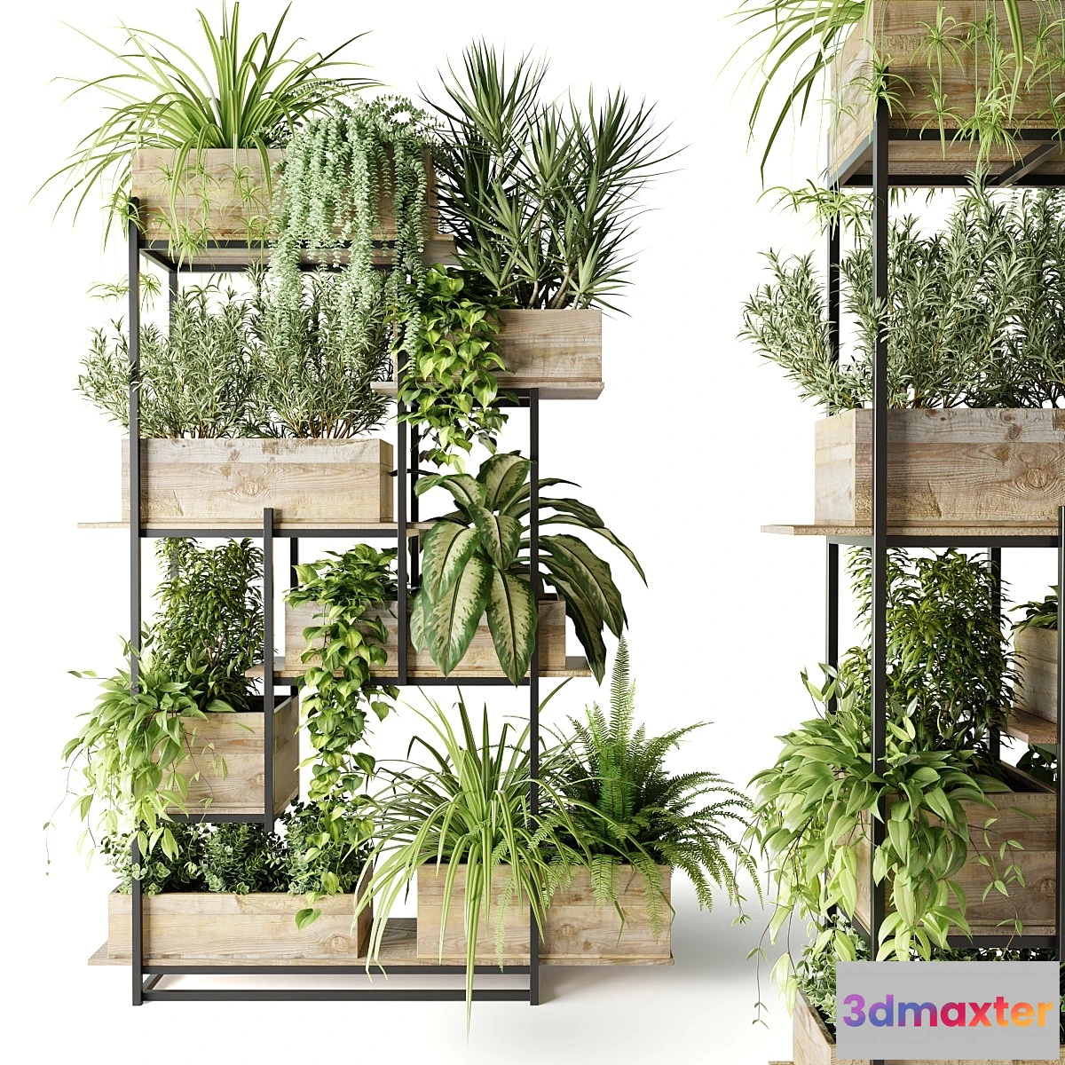 749221 - Metal rack with plants in wooden boxes - No.2