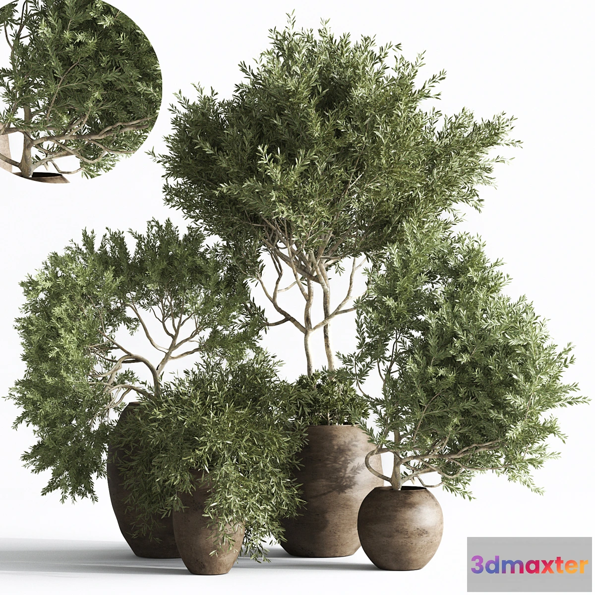 749235 - plant indoor015 - No.2