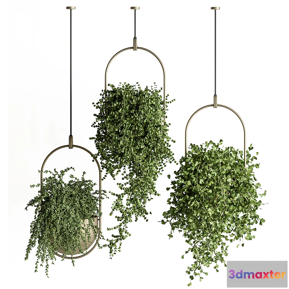 749239 - indoor Plant Set 410 - Hanging Plants - No.2