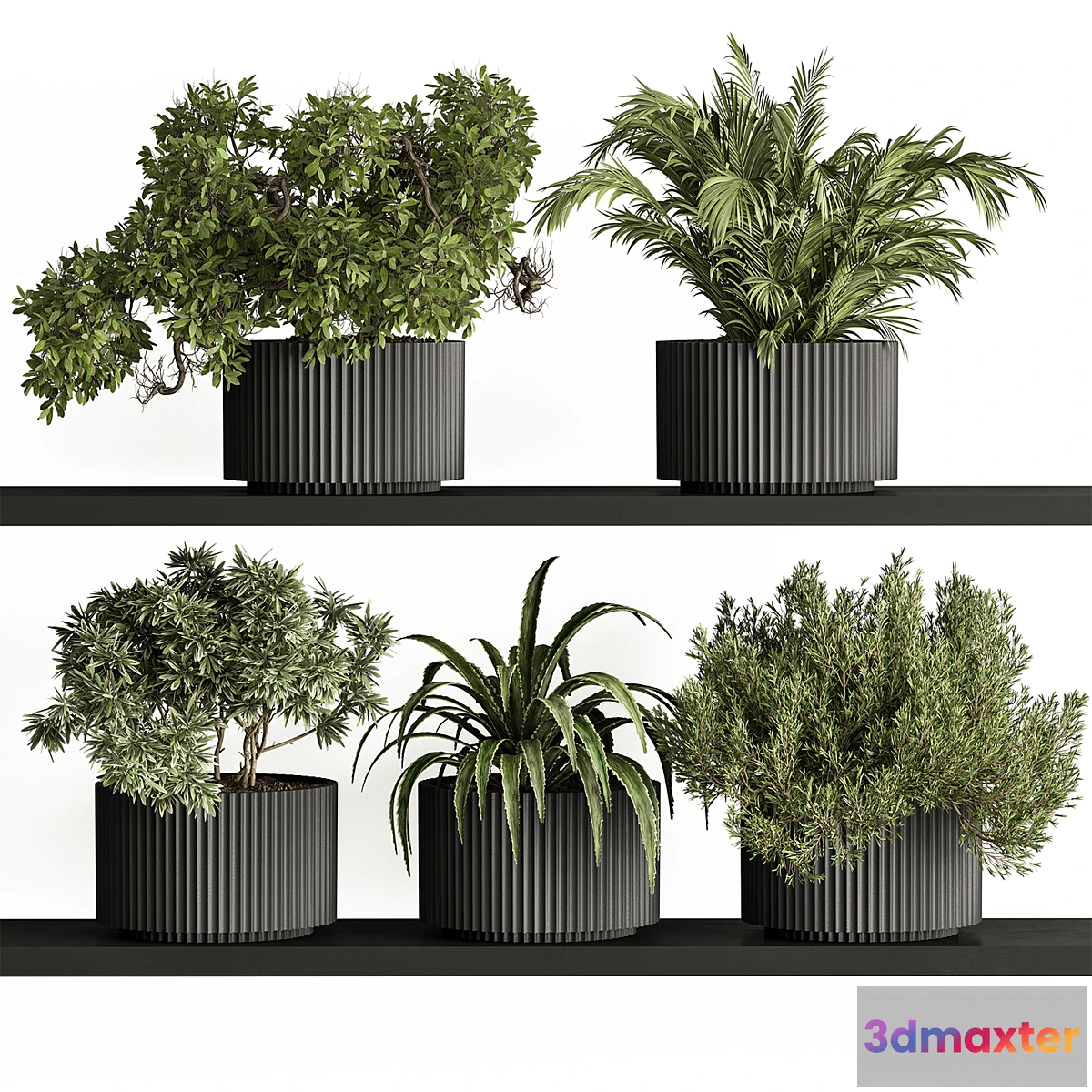 749253 - indoor Plant Set 402 - Small Plant pot - No.2