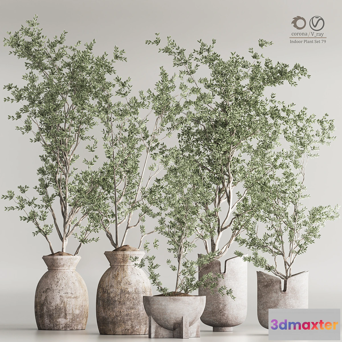 749263 - Indoor Plant Set 79 - No.2