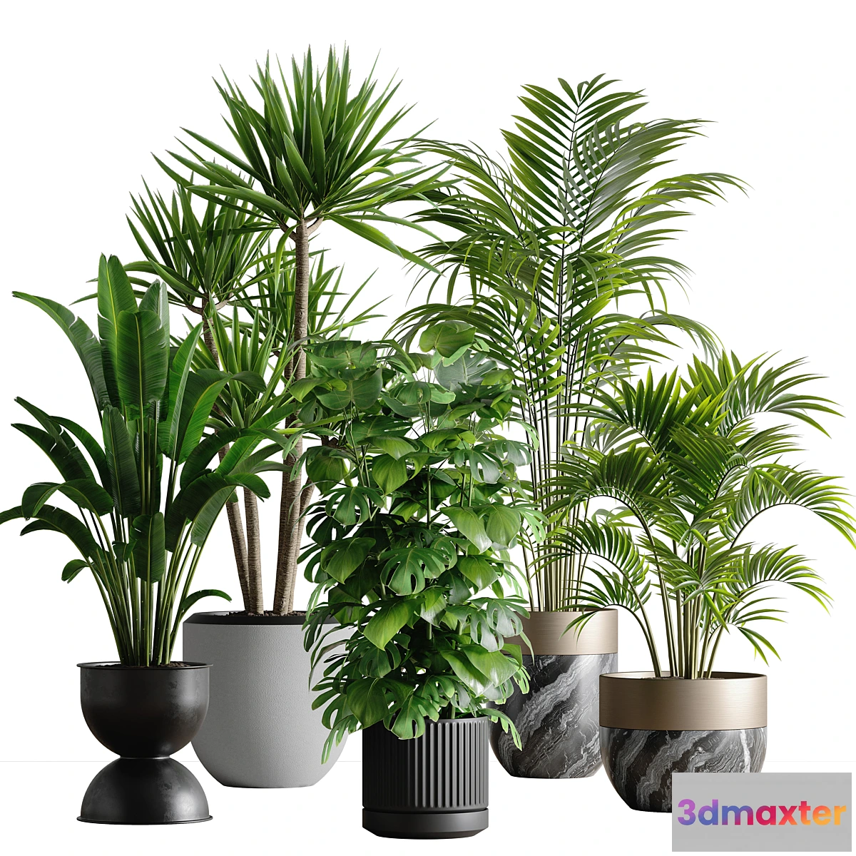 749285 - indoor plant set 53 - No.2