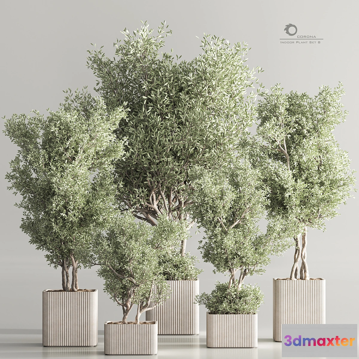 749293 - Indoor Plant Set 82 - No.2