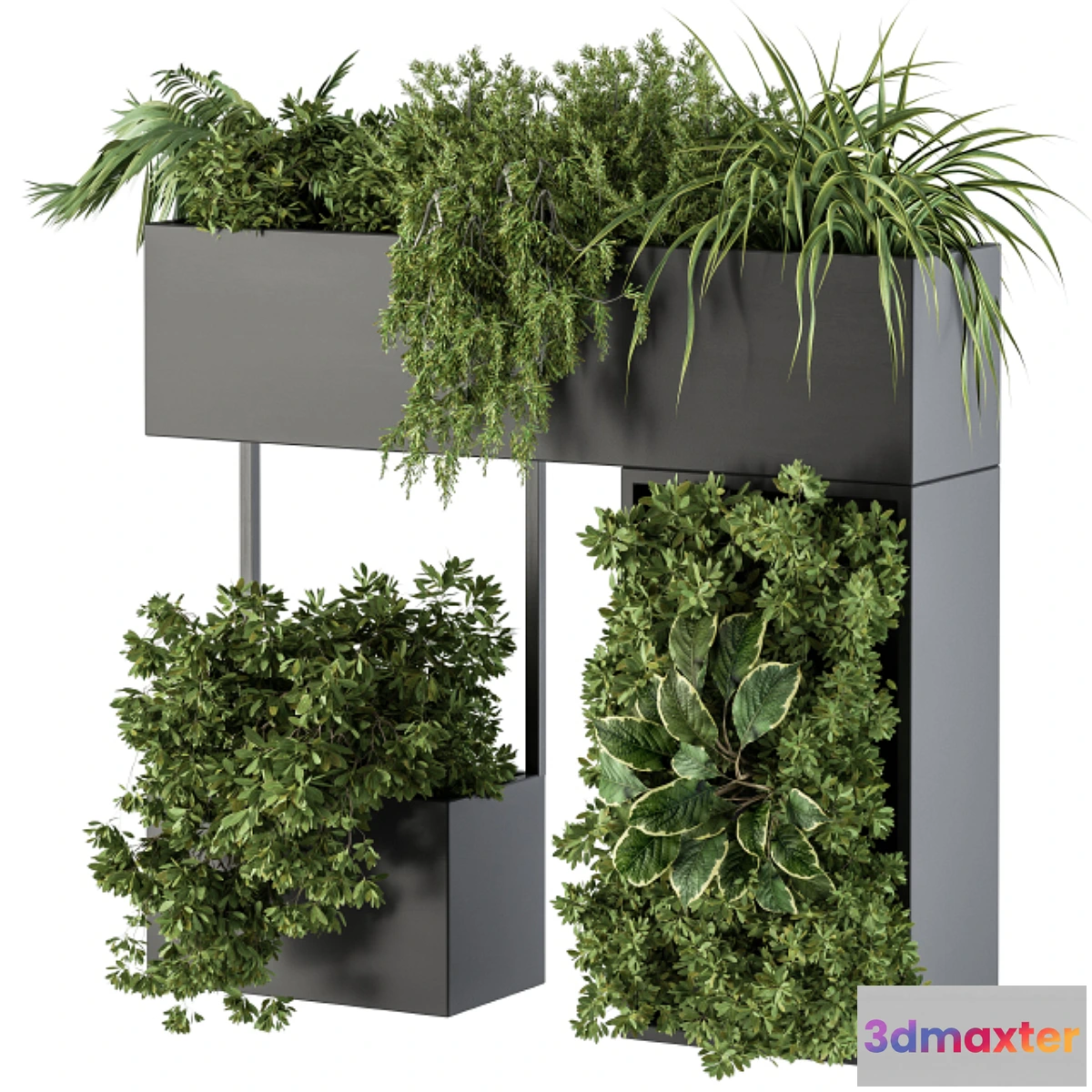 749317 - Plant Box on wall - indoor Plants 300
