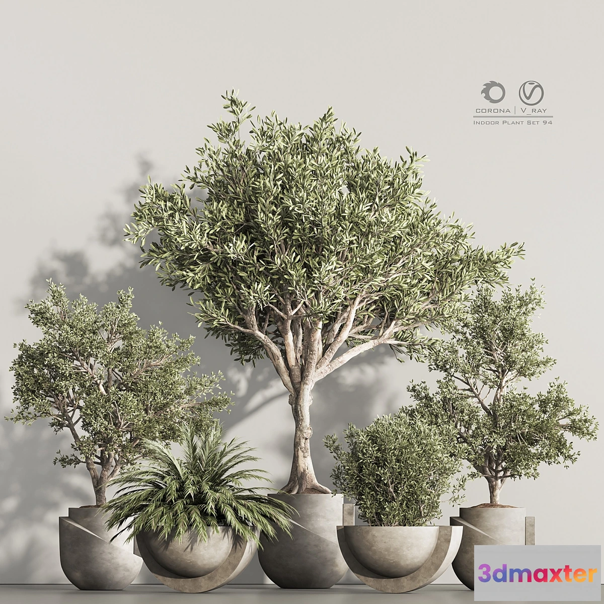 749325 - Indoor Plant Set 94 - No.2