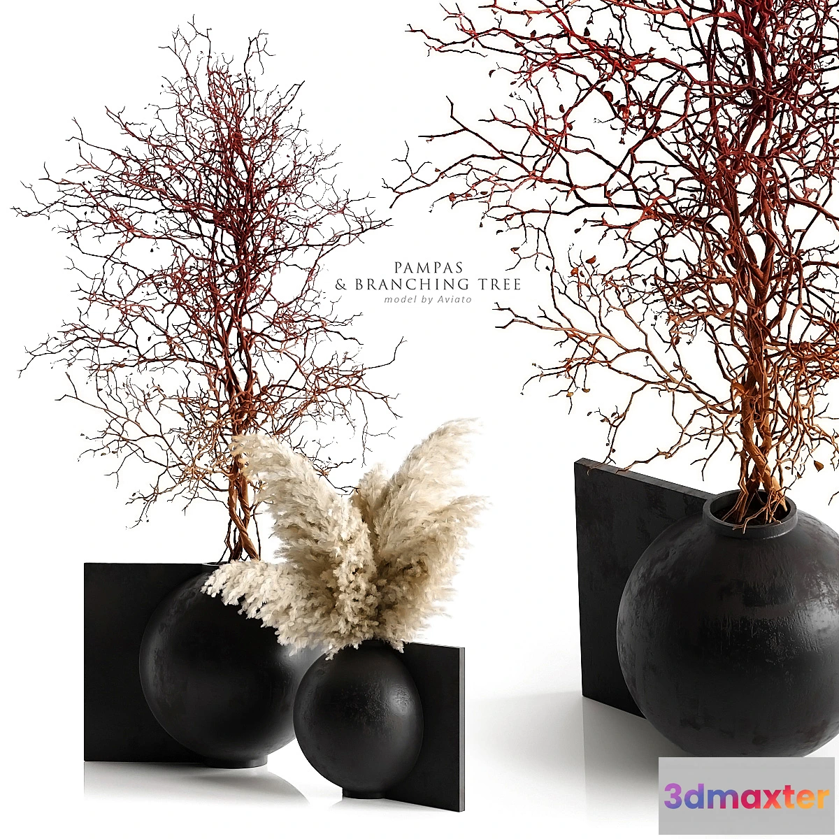 749387 - Pampas & branching tree - No.2