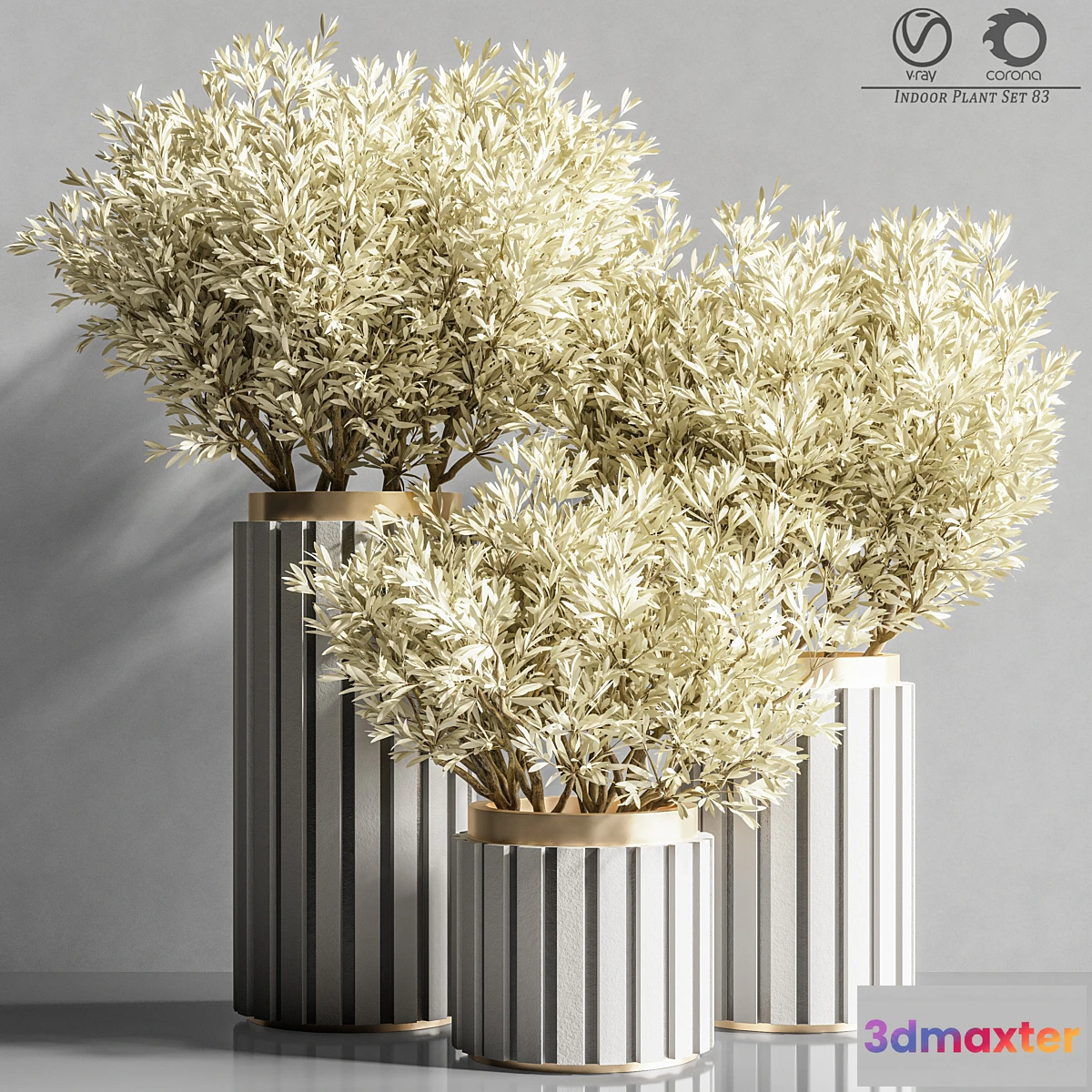 749405 - Indoor_Plant_Set_83 - No.2