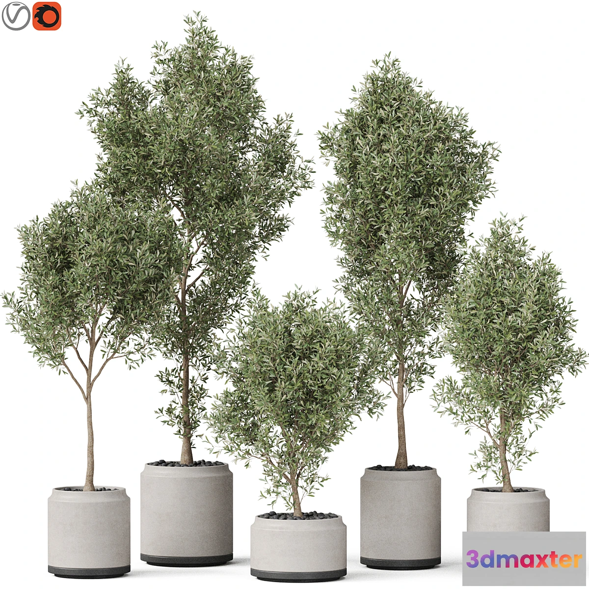 749449 - Plants collection 846 - No.3