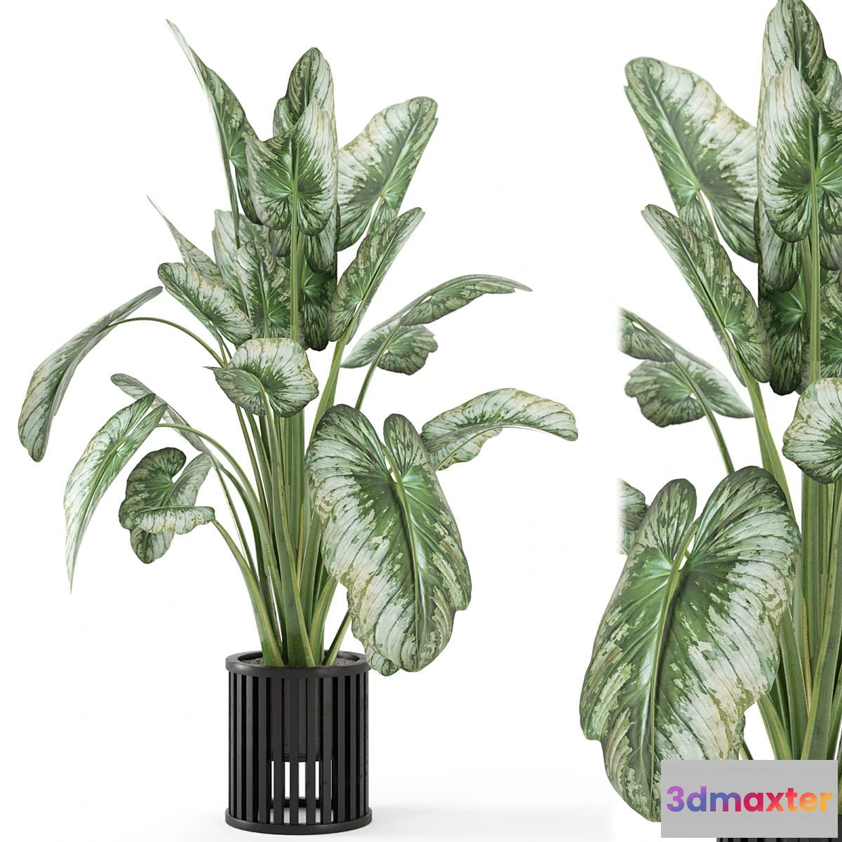 749471 - Indoor Plants in Metal Pot - Set 842 - No.2