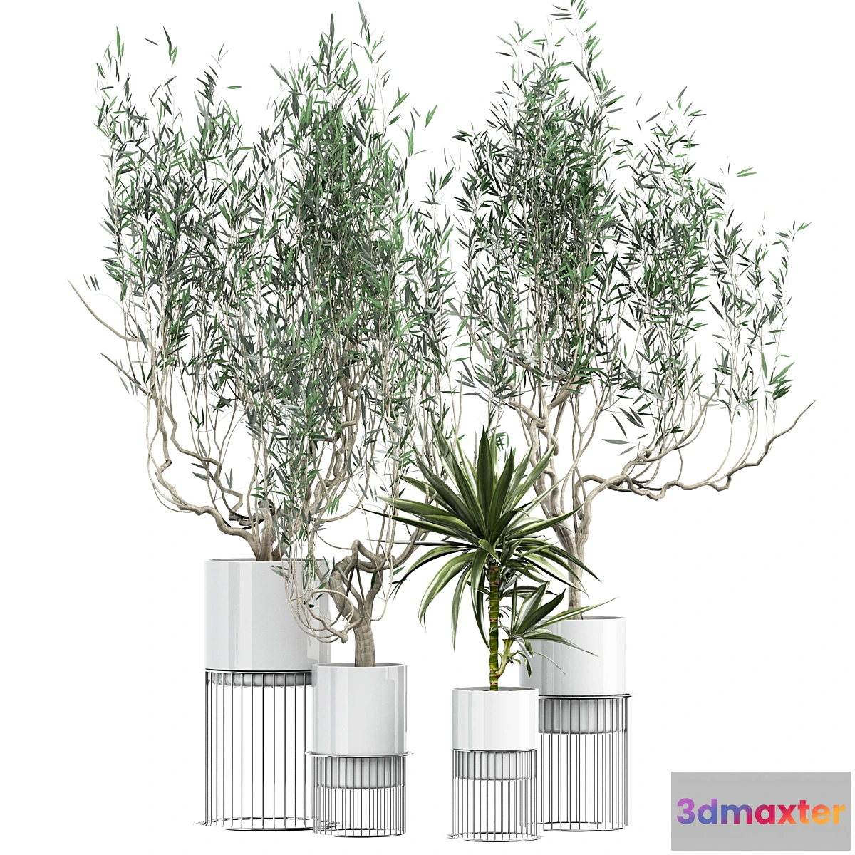 755043 - Flower Pack 164 - No.3