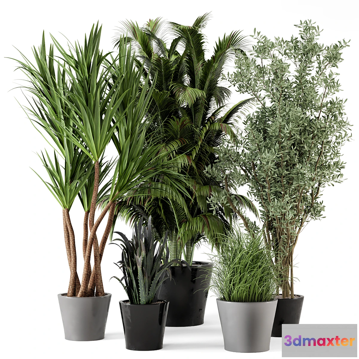 777873 - Indoor Plants in rusty Concrete Pot - Set 225