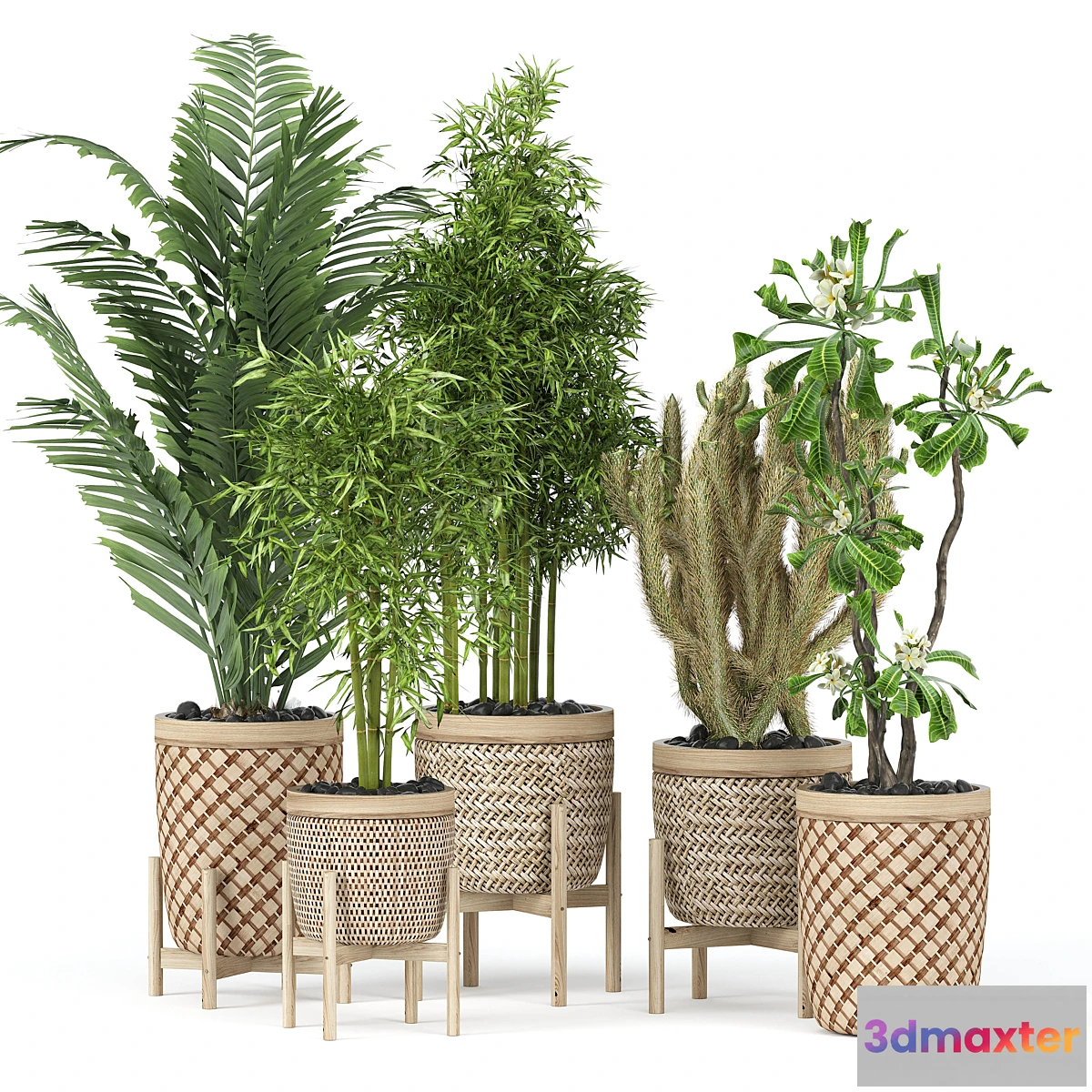 777875 - Flower Pack 189C