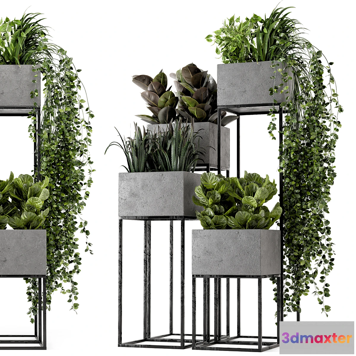 777879 - Indoor Plants in rusty Concrete Pot on Metal Shelf - Set 221