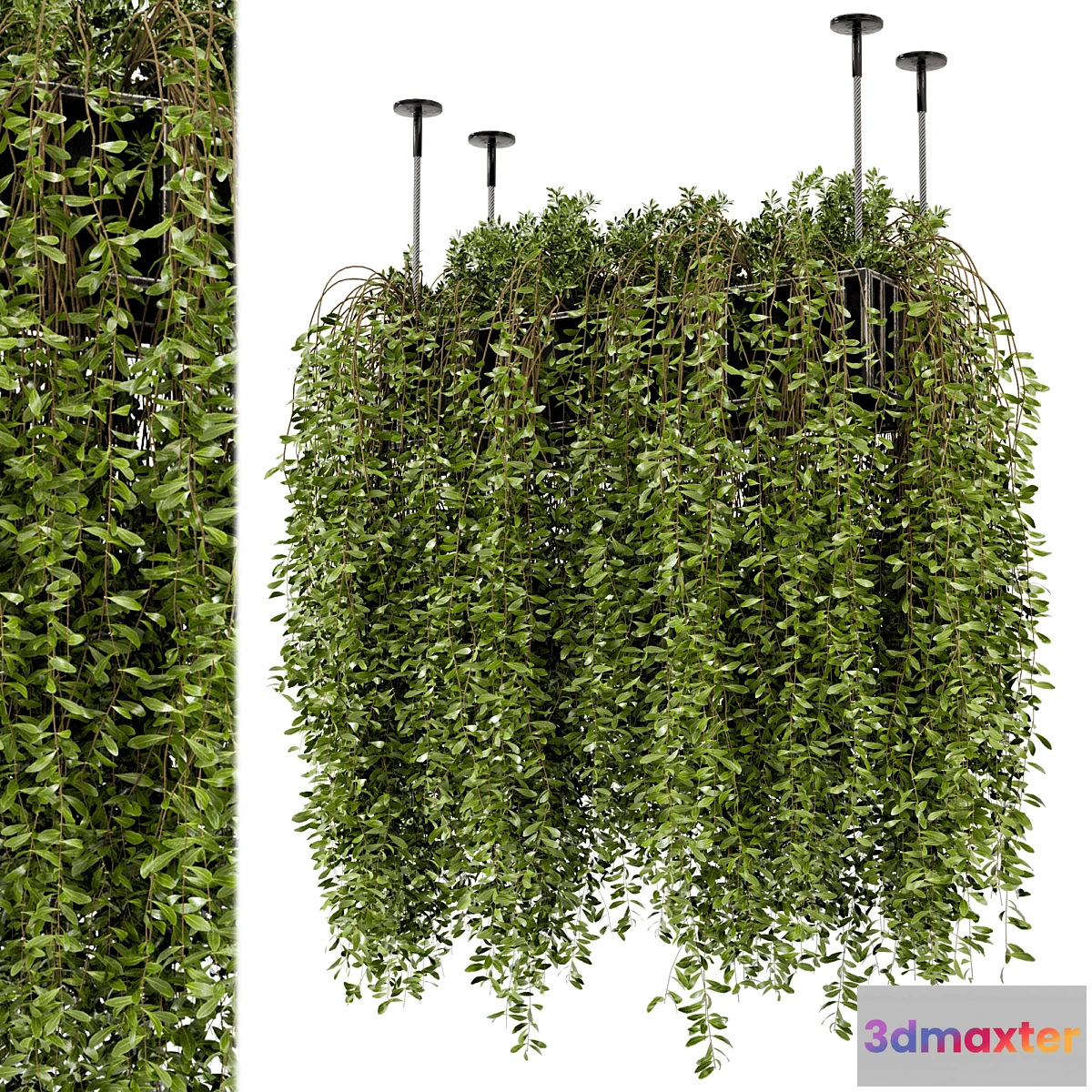 777881 - Indoor Hanging Plants in Metal Box - Set 192 - No.3