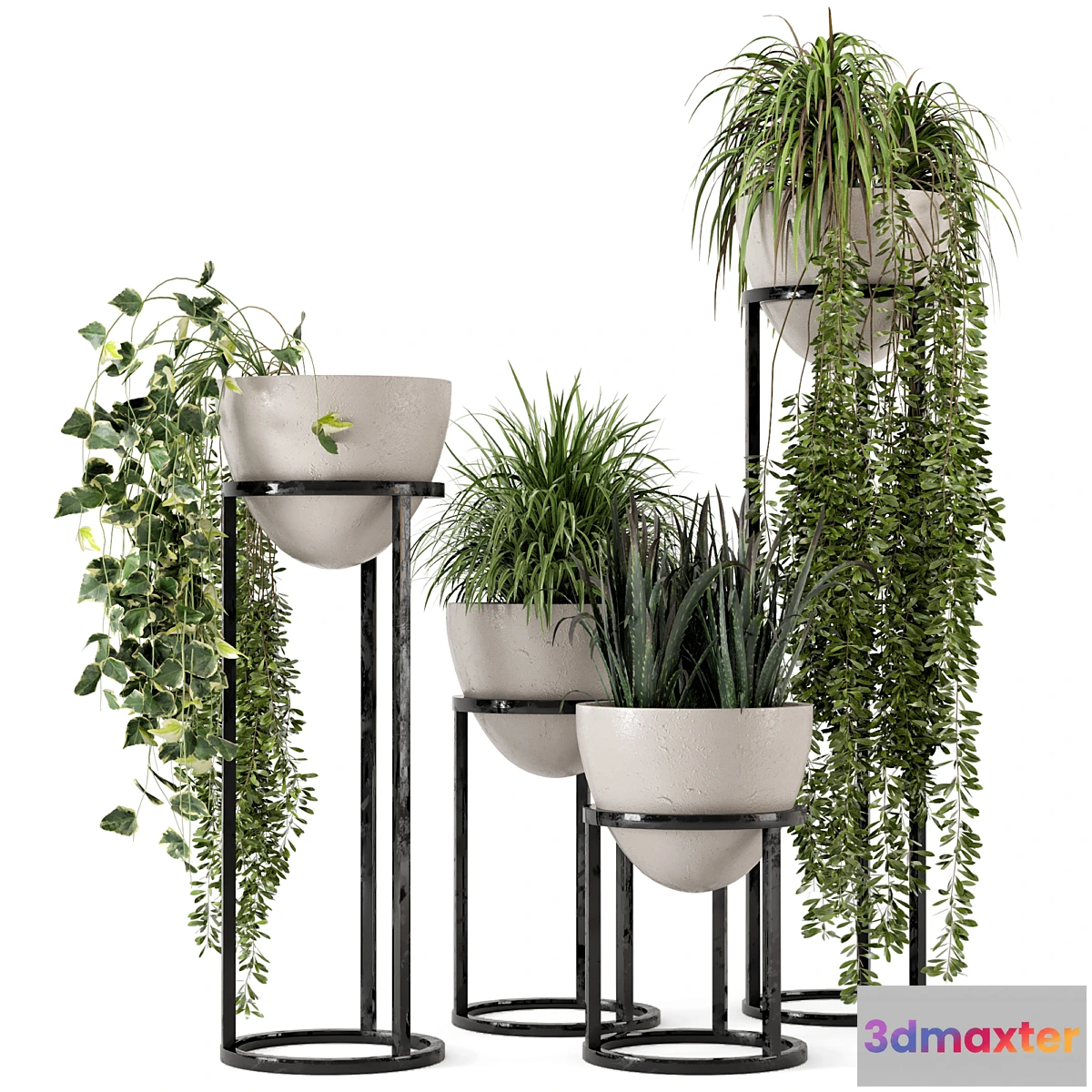 777889 - Indoor Plants in rusty Concrete Pot on Metal Shelf - Set 231