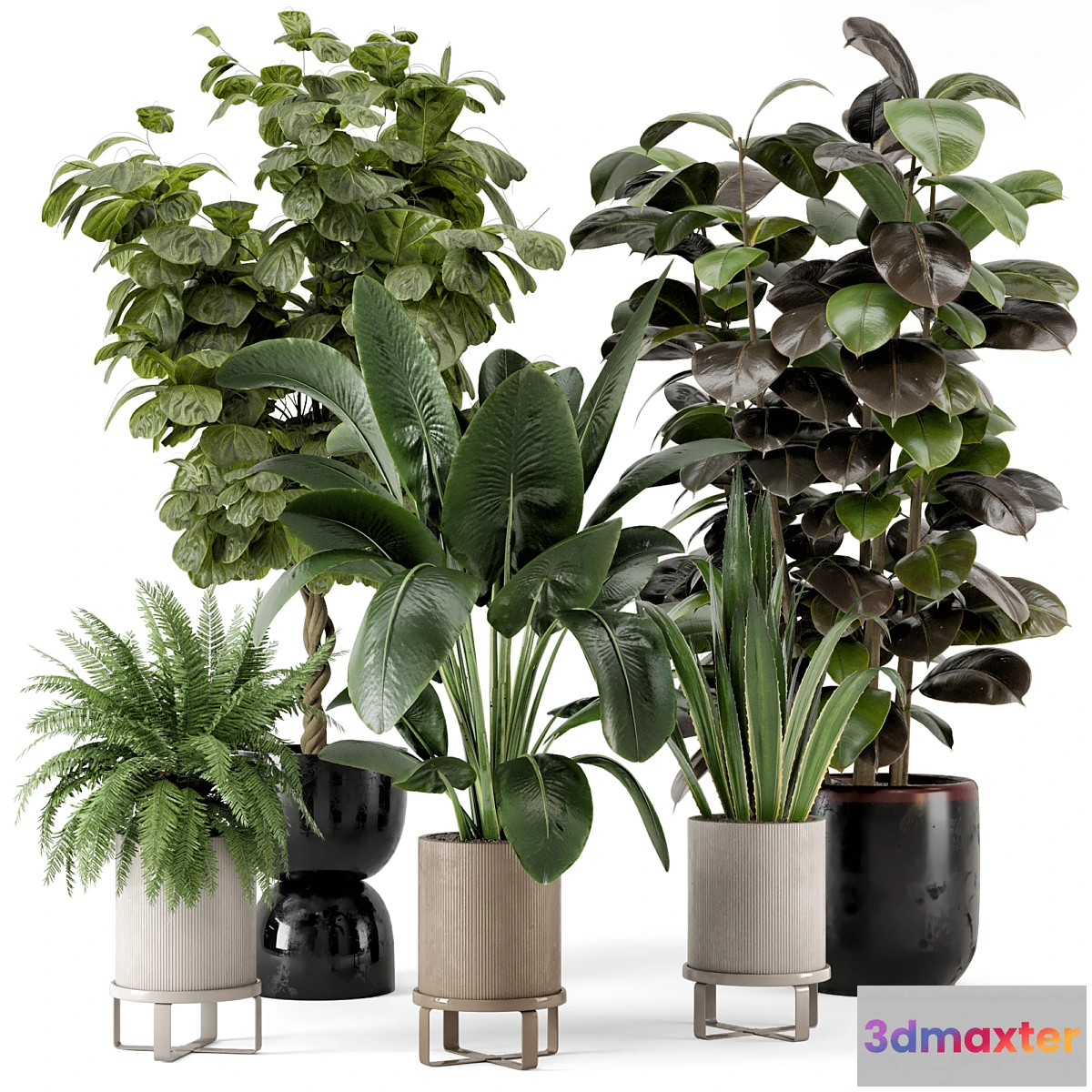 777911 - Indoor Plants in Ferm Living Bau Pot Large - Set 299 - No.2