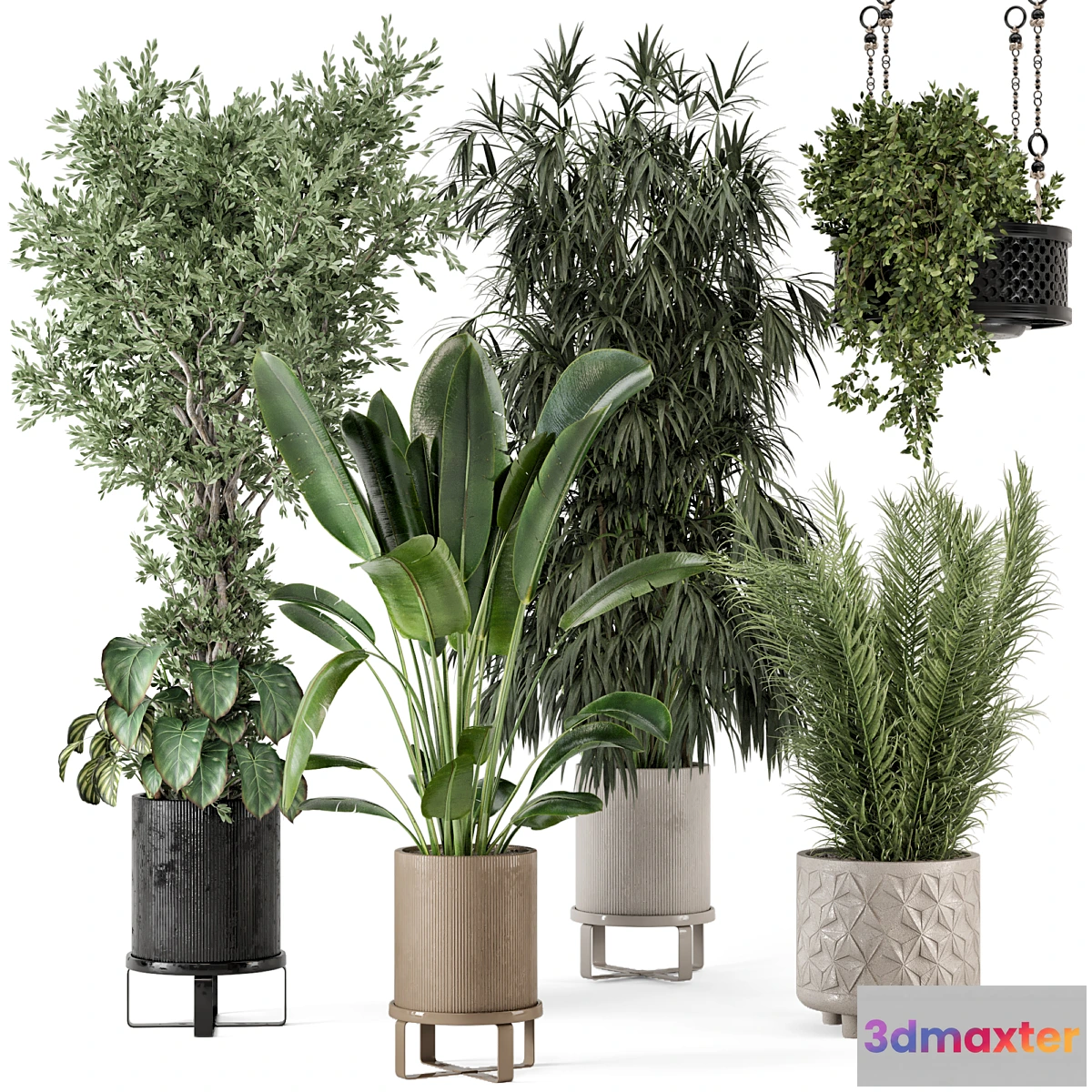 777917 - Indoor Plants in Ferm Living Bau Pot Large - Set 474 - No.2