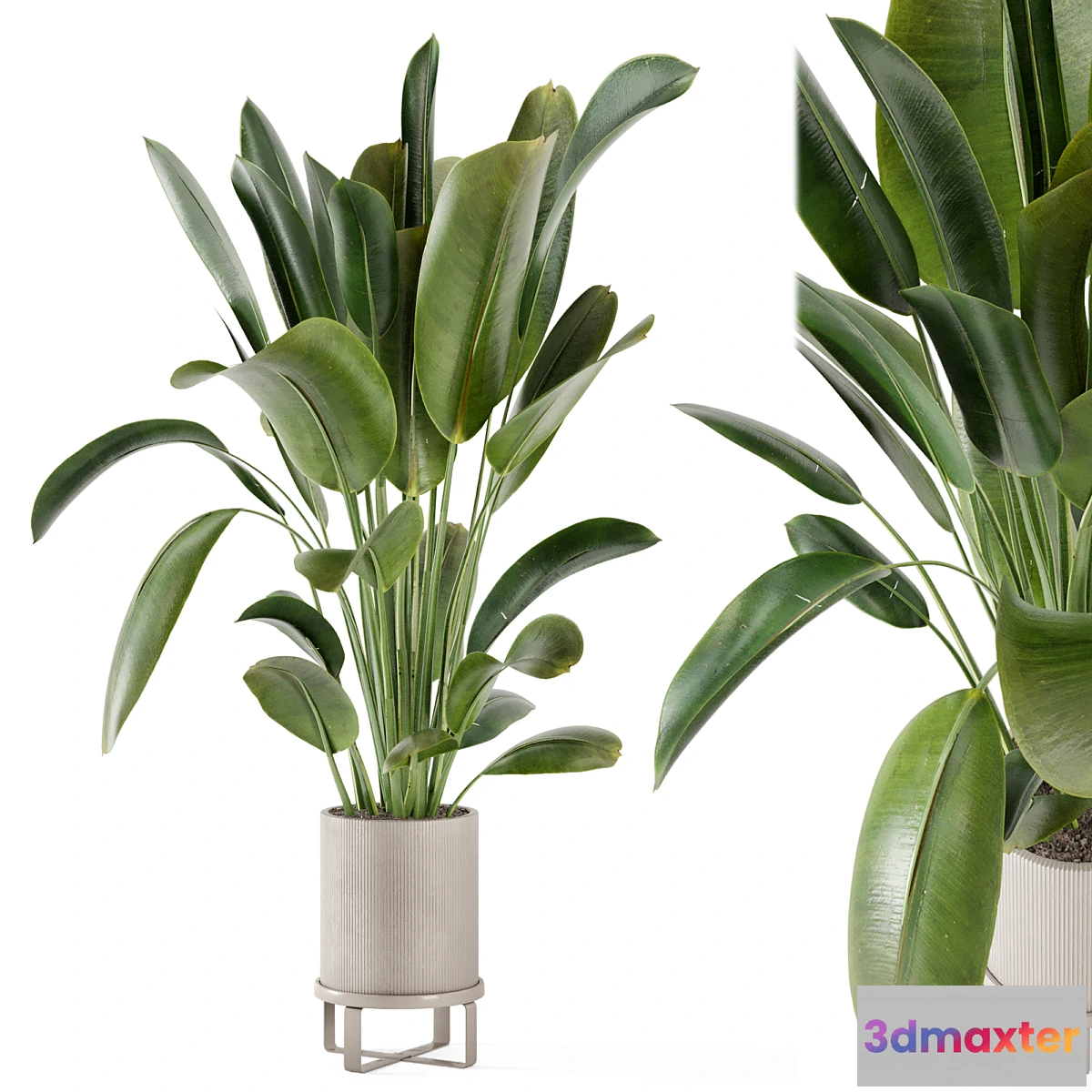 777925 - Indoor Plants in Ferm Living Bau Pot Large - Set 378 - No.2