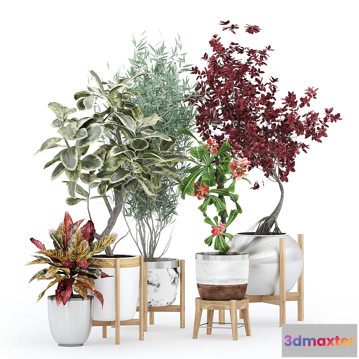 777931 - Flower Pack 233С - No.2