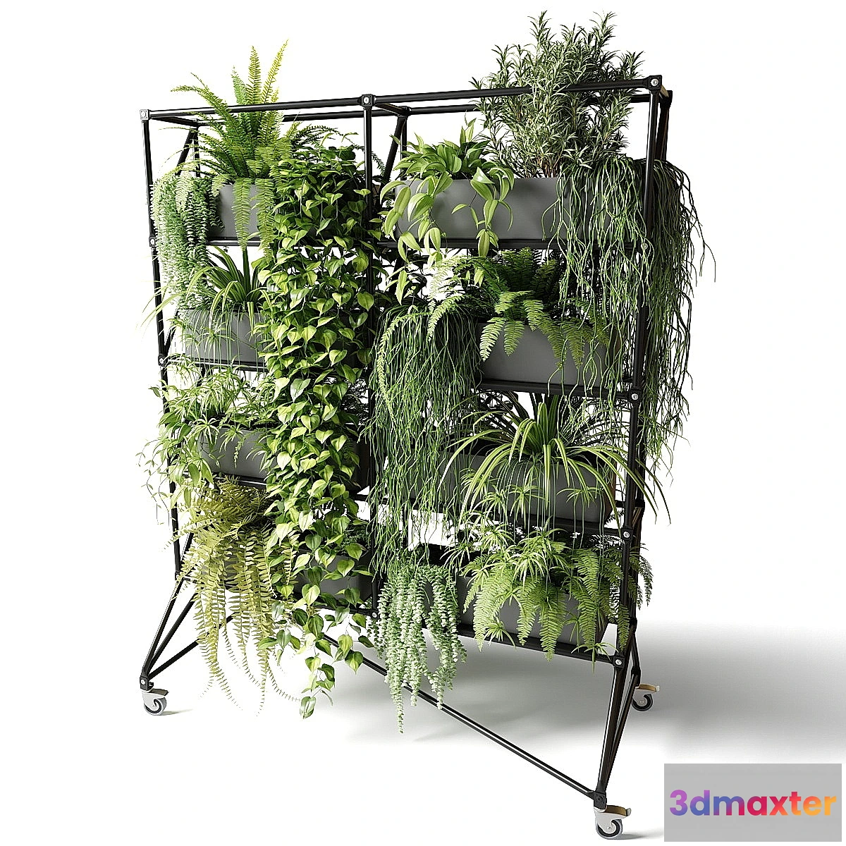 777937 - Mobile rack with plants - No.2