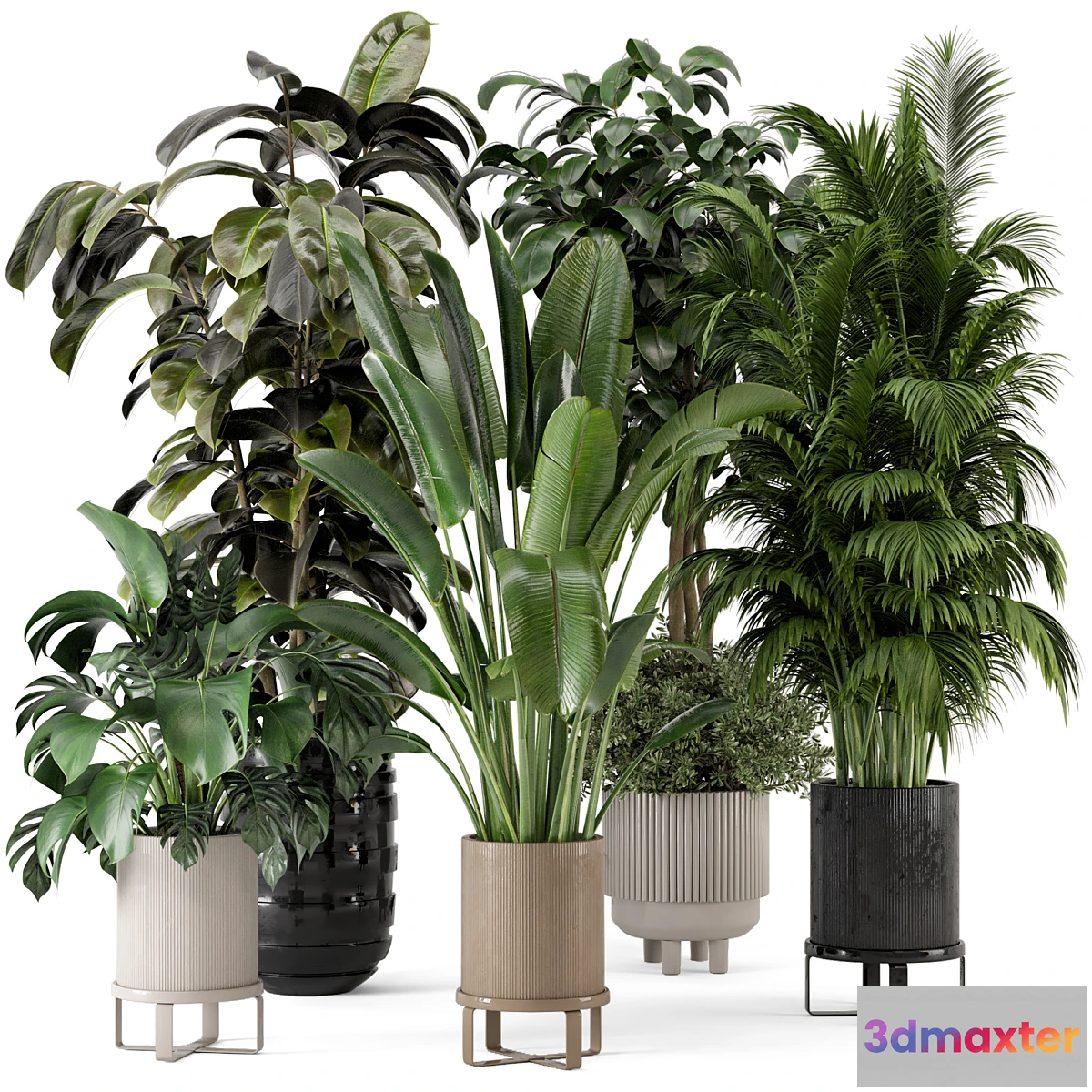 777949 - Indoor Plants in Ferm Living Bau Pot Large - Set 548 - No.2