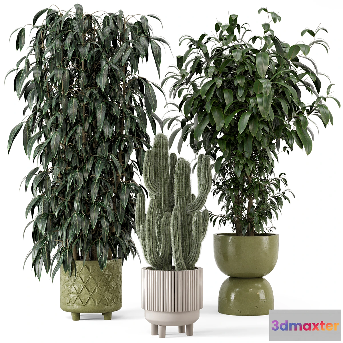 777953 - Indoor Plants in rusty Concrete Pot - Set 512 - No.2