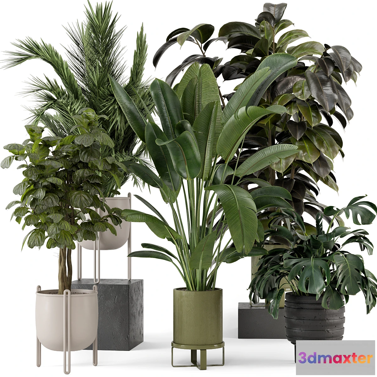 777963 - Indoor Plants in Ferm Living Bau Pot Large - Set 976 - No.2