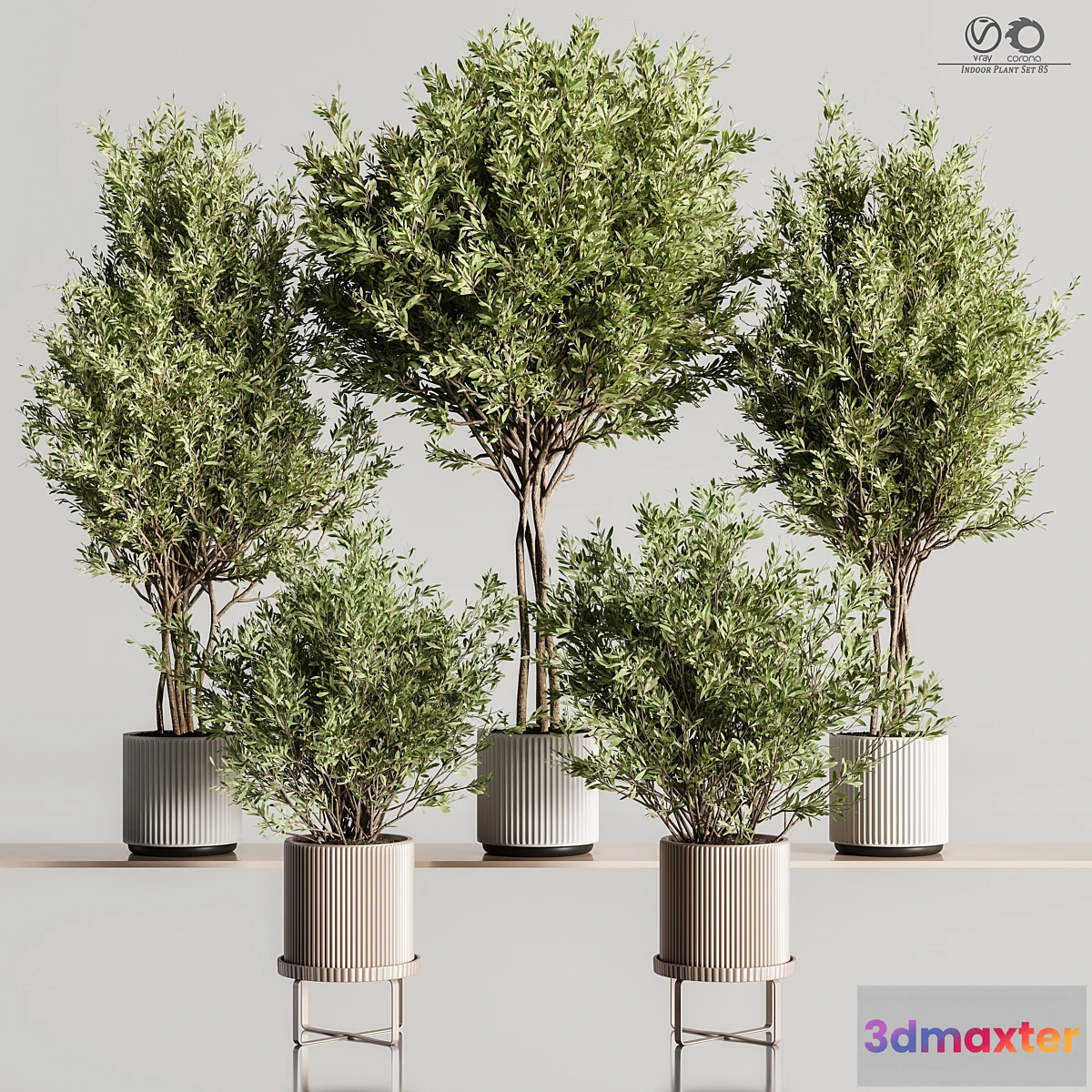 777967 - Indoor_Plant_Set_85 - No.2