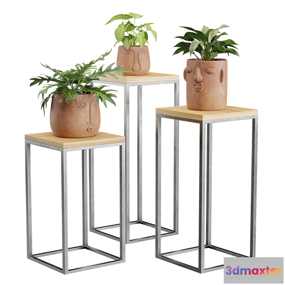 777971 - Facepot Terracota Plant Set - No.2