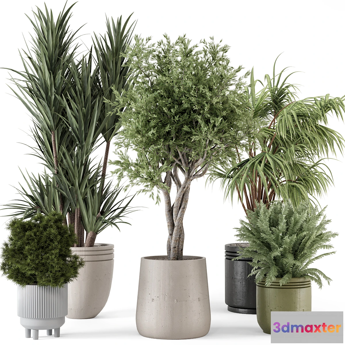 777983 - Indoor Plants in Ferm Living Bau Pot Large - Set 817 - No.2