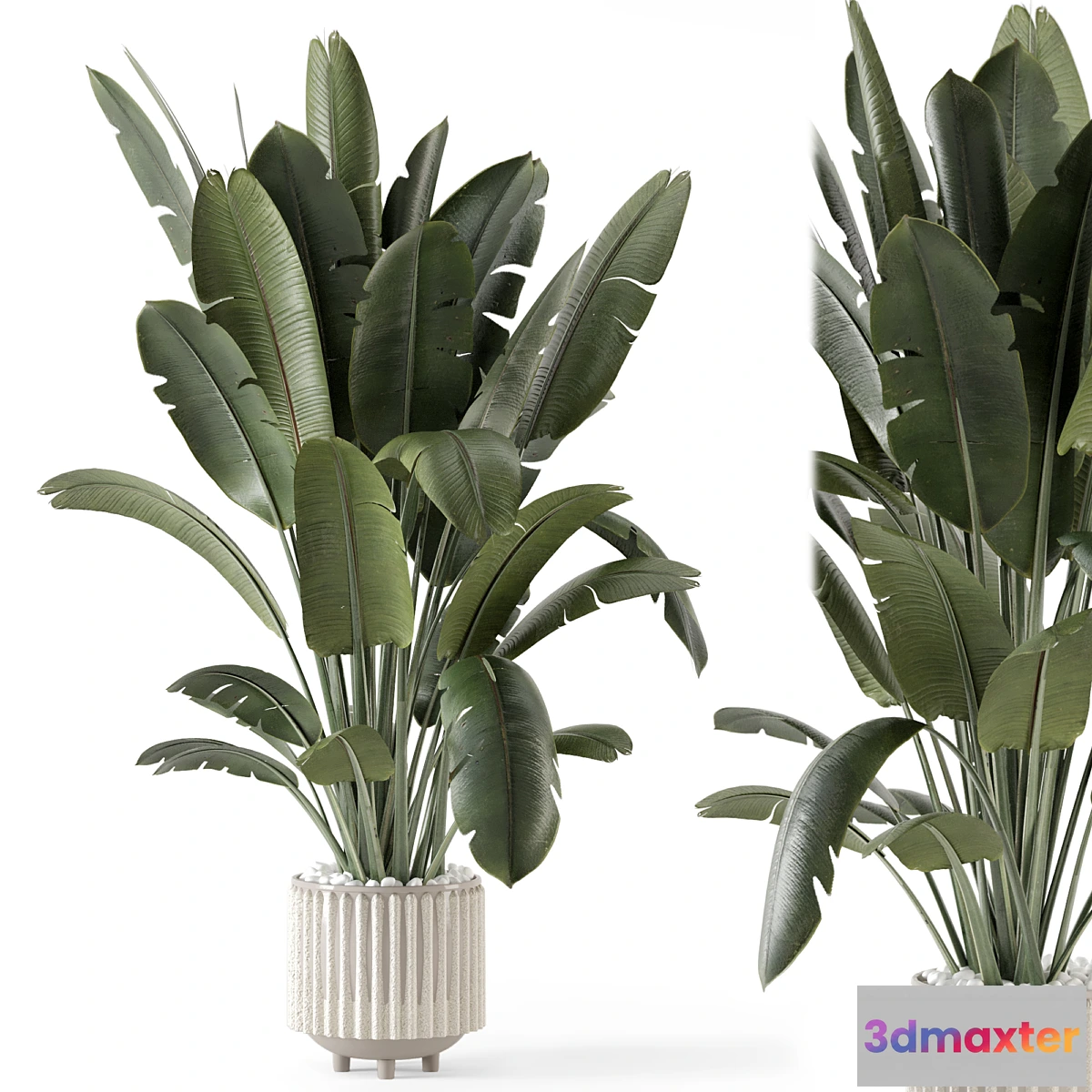 777985 - Indoor Plants in Ferm Living Bau Pot Large - Set 1448 - No.2