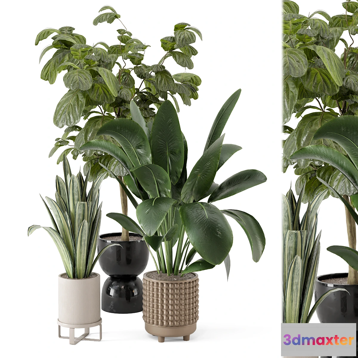 777987 - Indoor Plants in Ferm Living Bau Pot Large - Set 1044 - No.2
