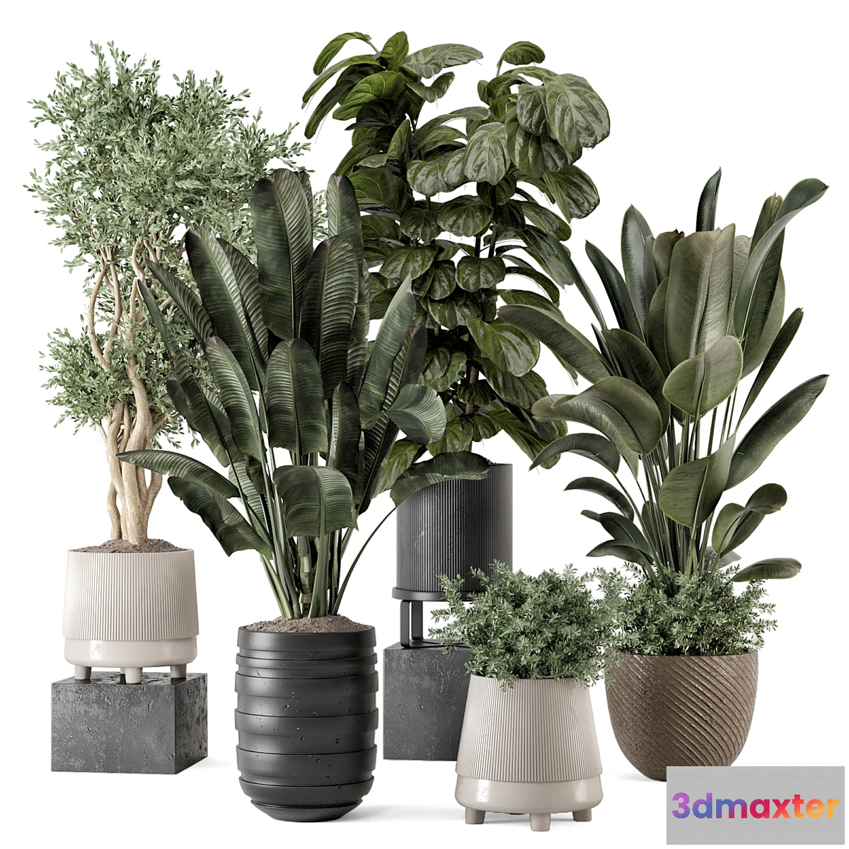 778001 - Indoor Plants in rusty Concrete Pot - Set 1291 - No.2