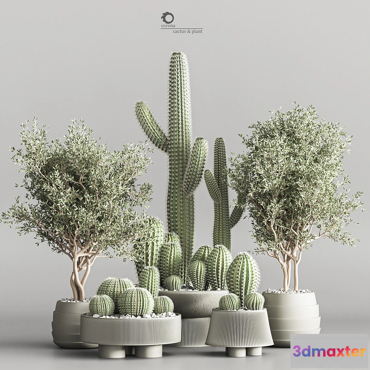 778029 - Cactus & plant vol 01 - No.2