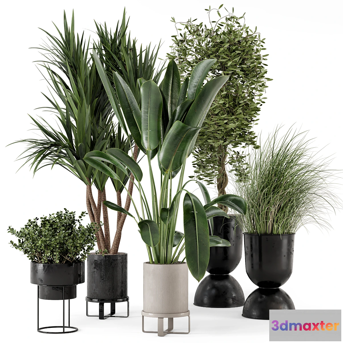 778031 - Indoor Plants in Ferm Living Bau Pot Large - Set 312