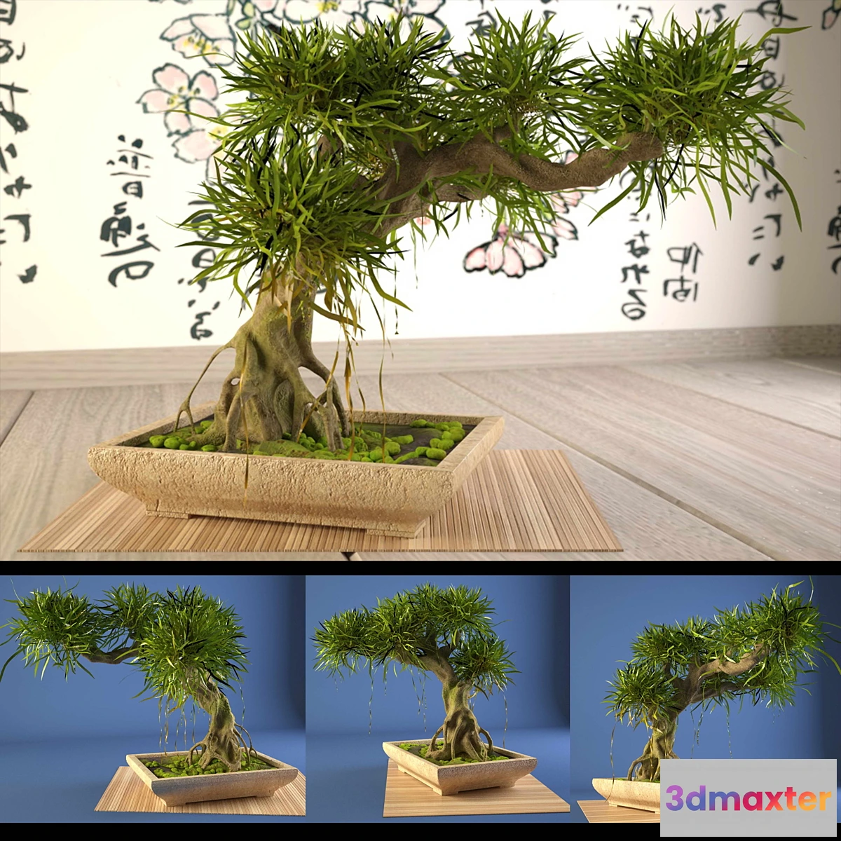 791844 - Bonsai - No.13