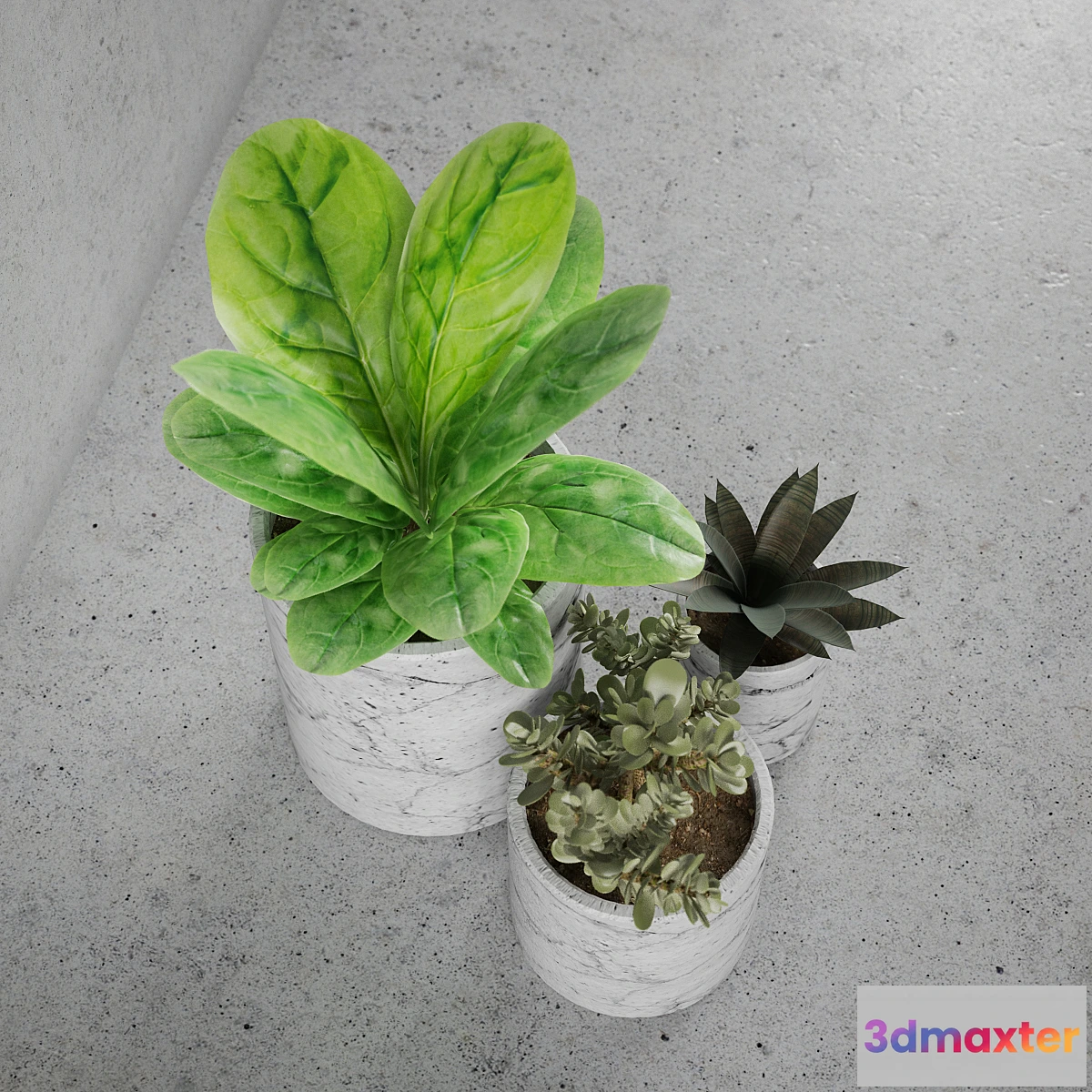 791862 - Decorative set _ plants - No.3
