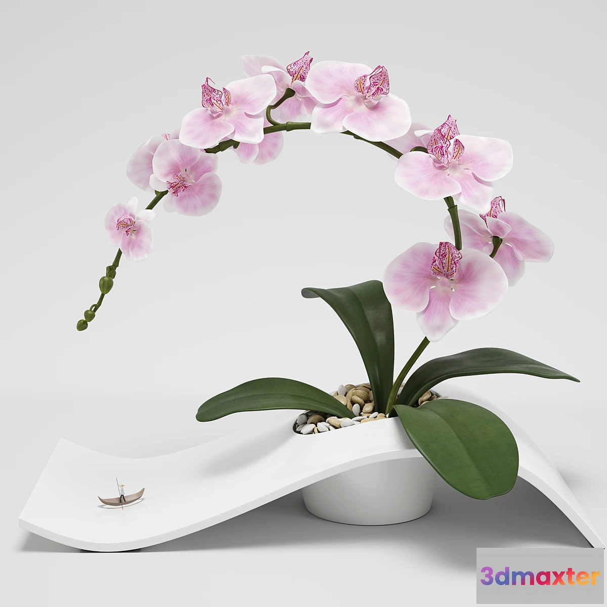 792078 - Orchid (phalaenopsis) - No.2