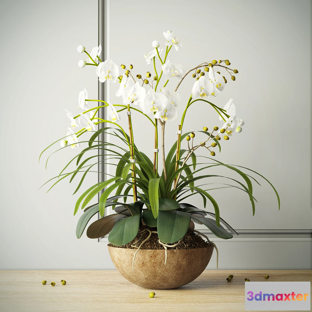 792100 - composition with orchids - No.3