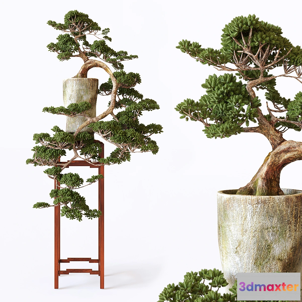 792140 - Bonsai - No.15