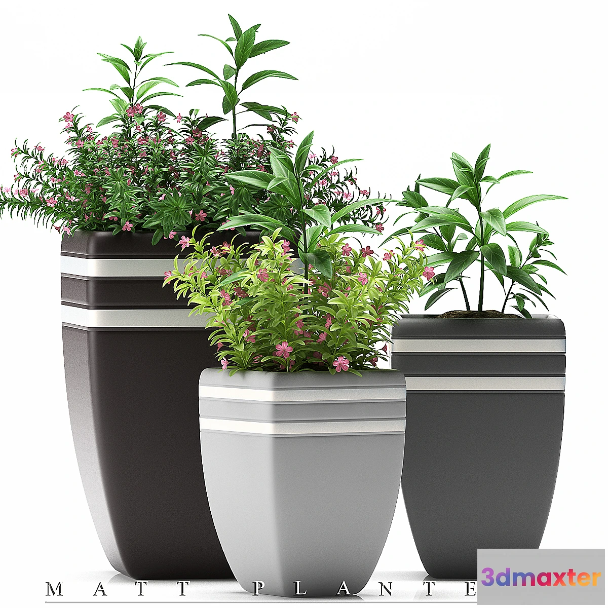 792274 - PLANTS 44 - No.3