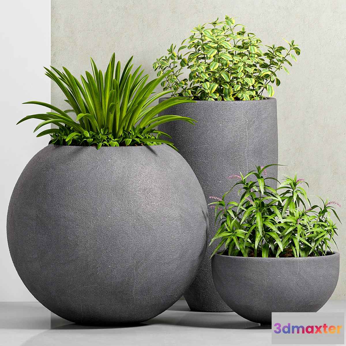 792322 - PLANT-39 - No.3