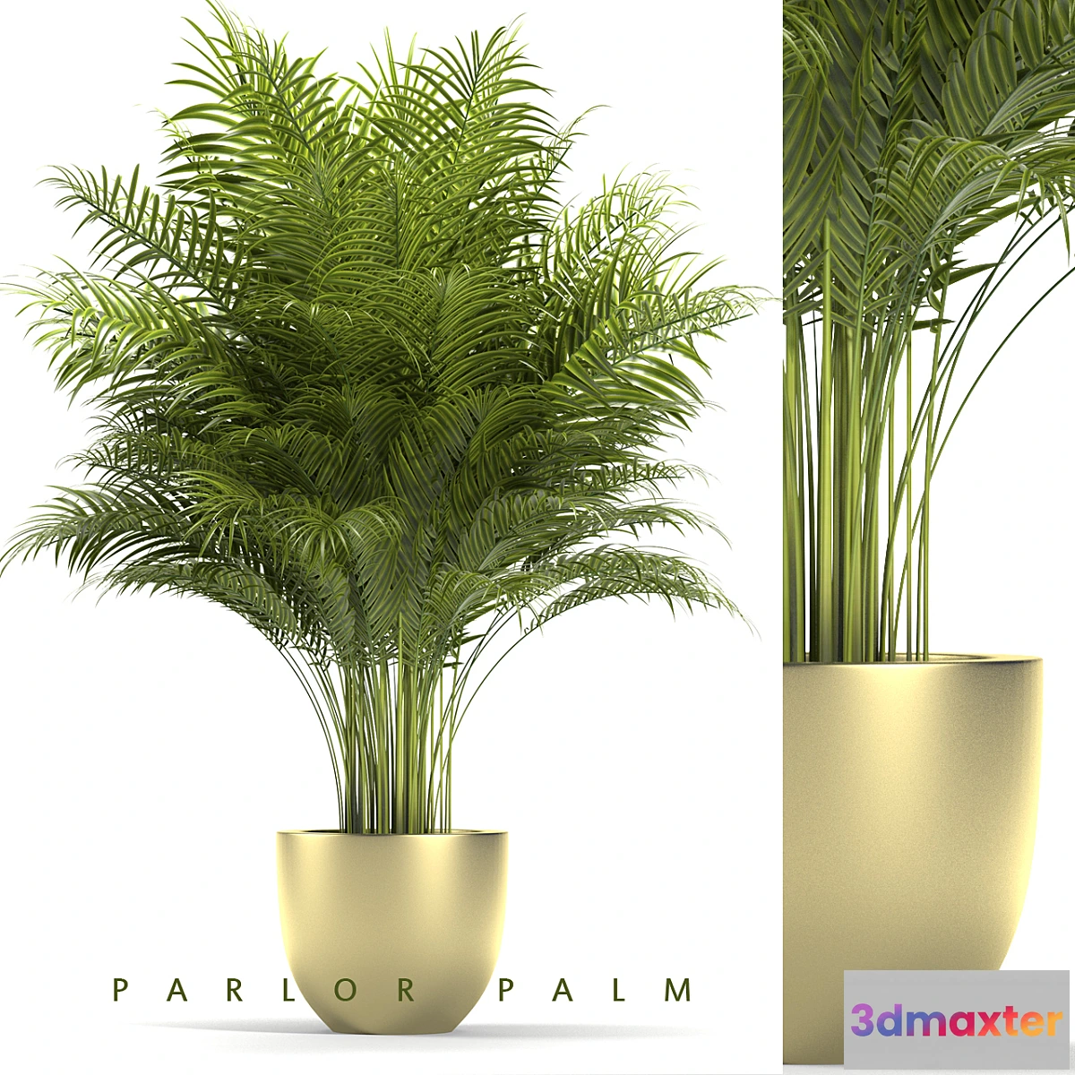 792446 - PLANTS 67 - No.2