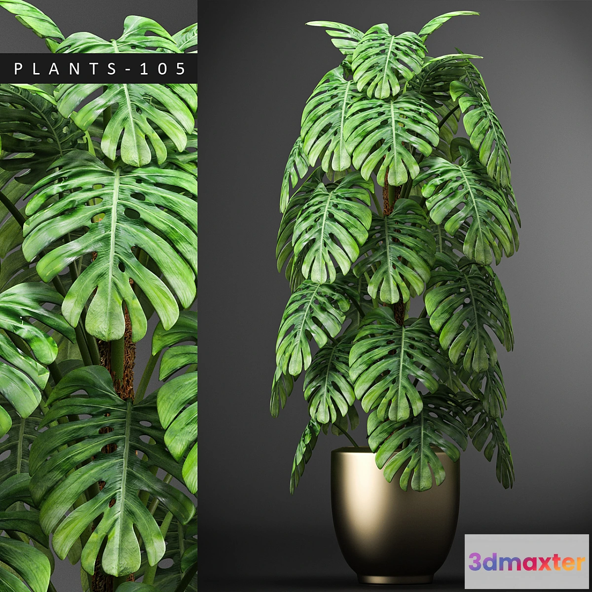 792494 - PLANTS 105 - No.3